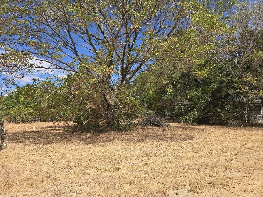 0.26 acres in Henderson County - photo 5