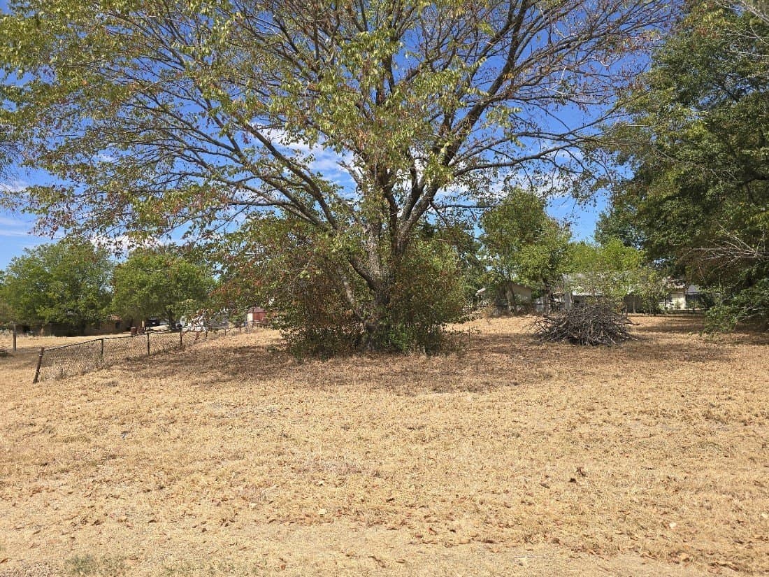 0.26 acres in Henderson County - photo 3