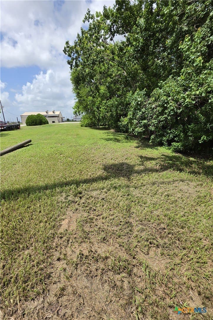 0.33 acres in Calhoun County - photo 11