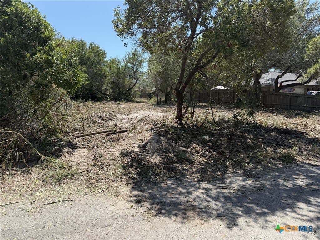 0.16 acres in San Patricio County - photo 4