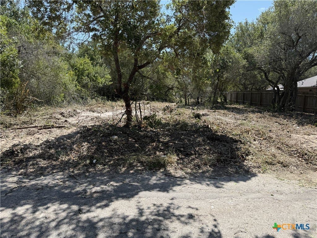 0.16 acres in San Patricio County - photo 3