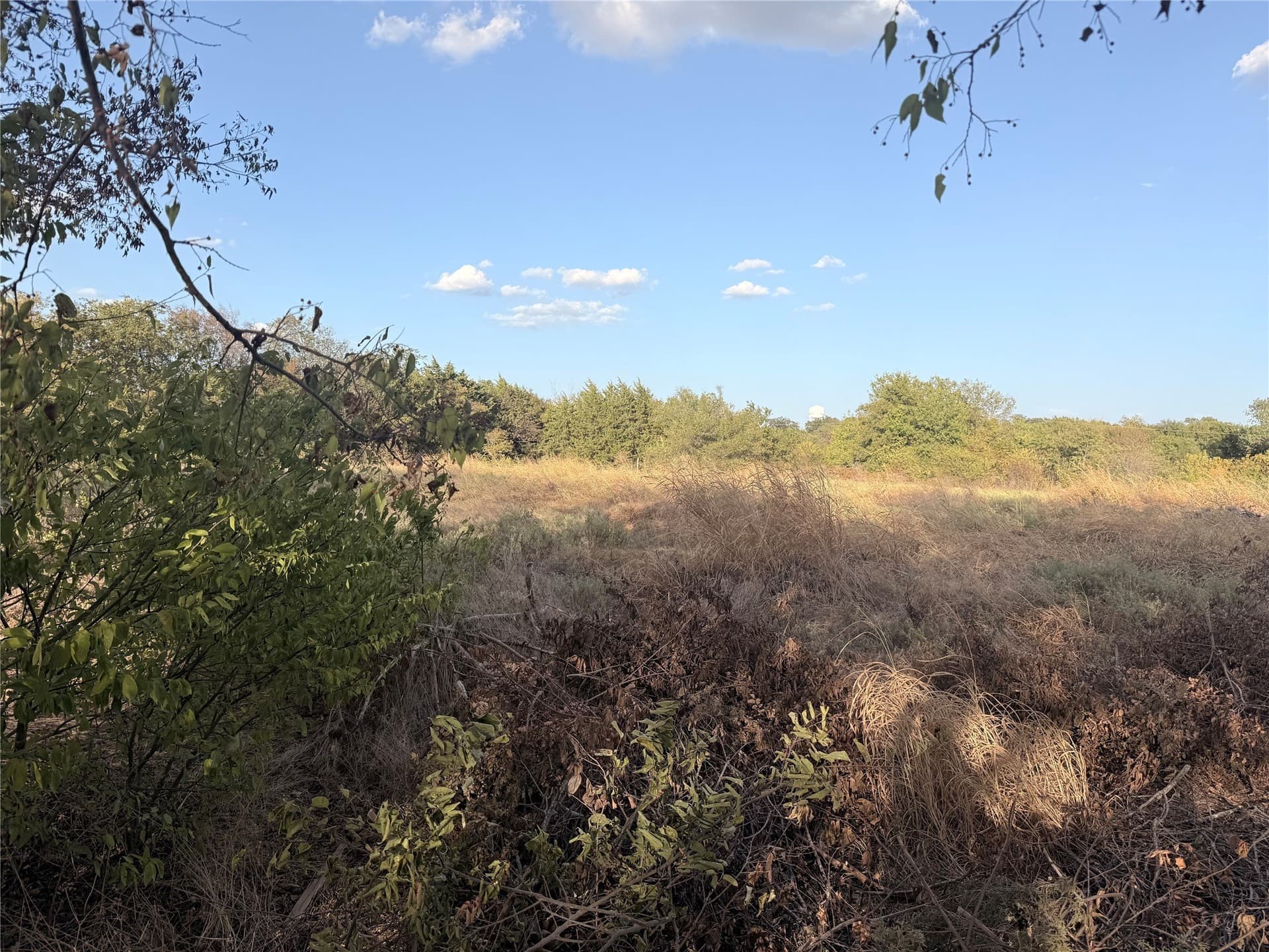 10.31 acres in Grayson County