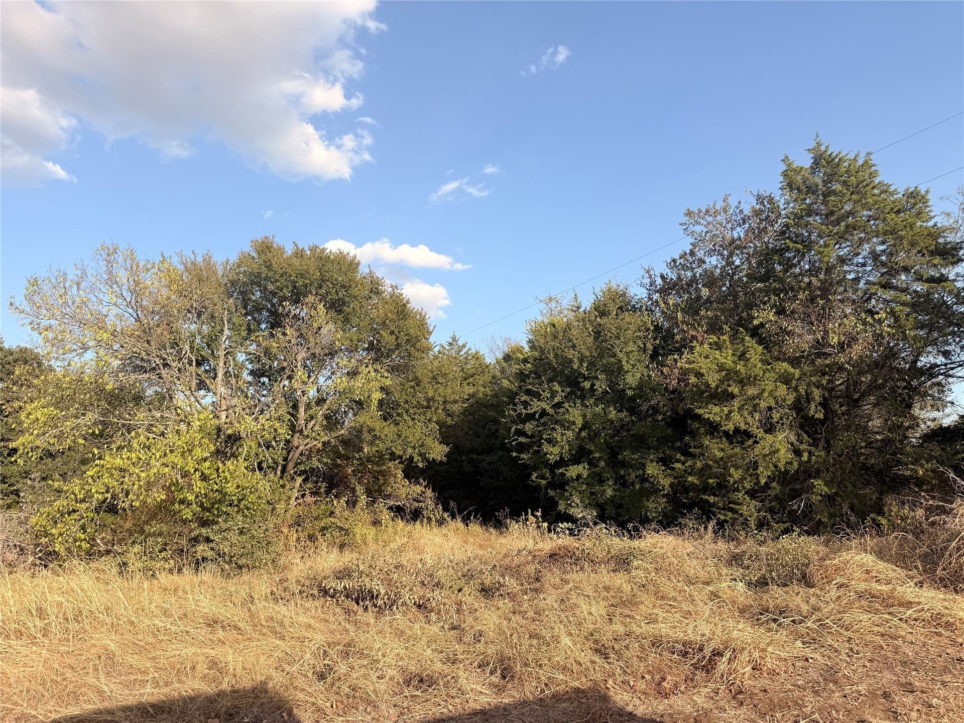 10.31 acres in Grayson County - photo 3