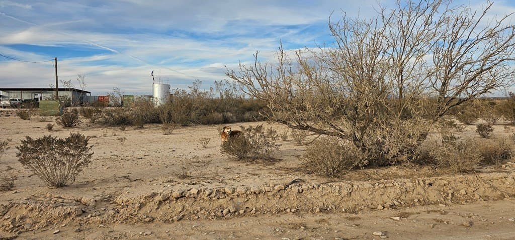 641 acres in Brewster County - photo 12