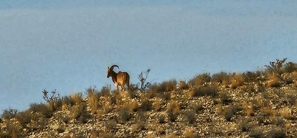 641 acres in Brewster County - photo 37