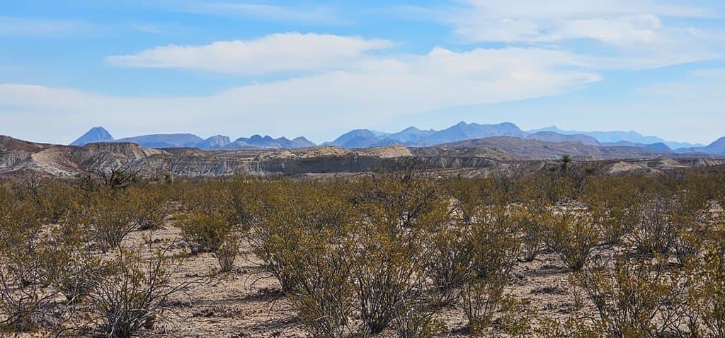 641 acres in Brewster County - photo 22