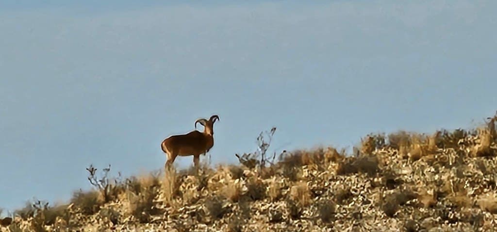 641 acres in Brewster County gallery image 2