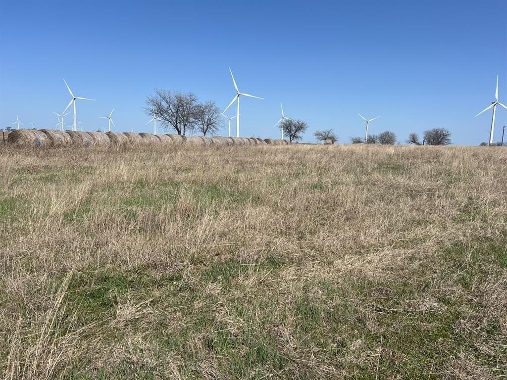 33.33 acres in Cooke County featured view