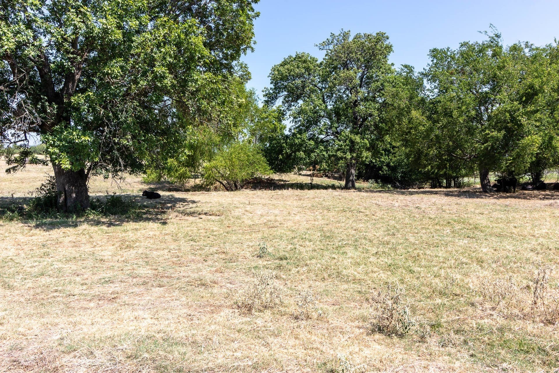 15 acres in Kaufman County - photo 21
