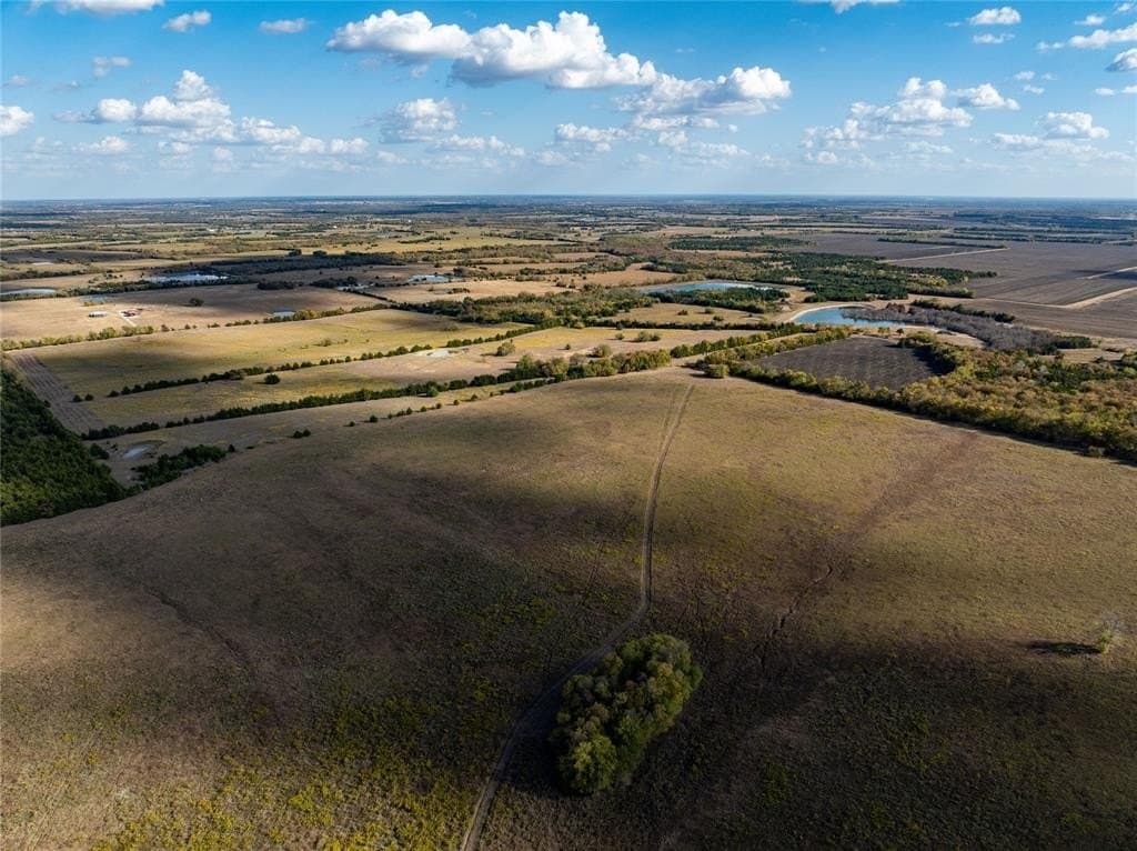 78 acres in Lamar County gallery image 4