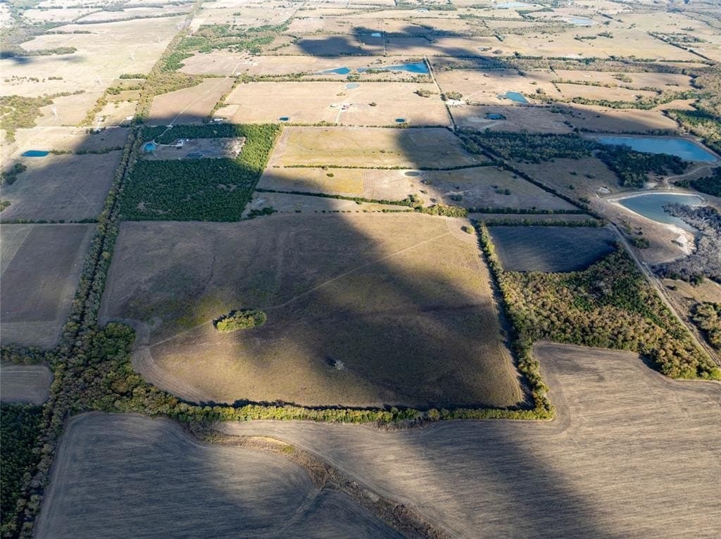 78 acres in Lamar County gallery image 2