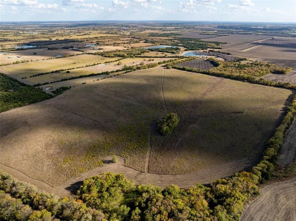 78 acres in Lamar County gallery image 3