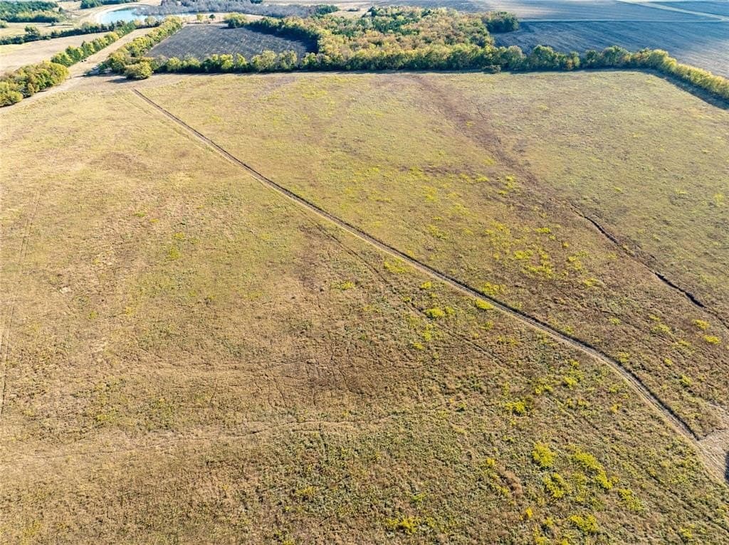 78 acres in Lamar County featured view