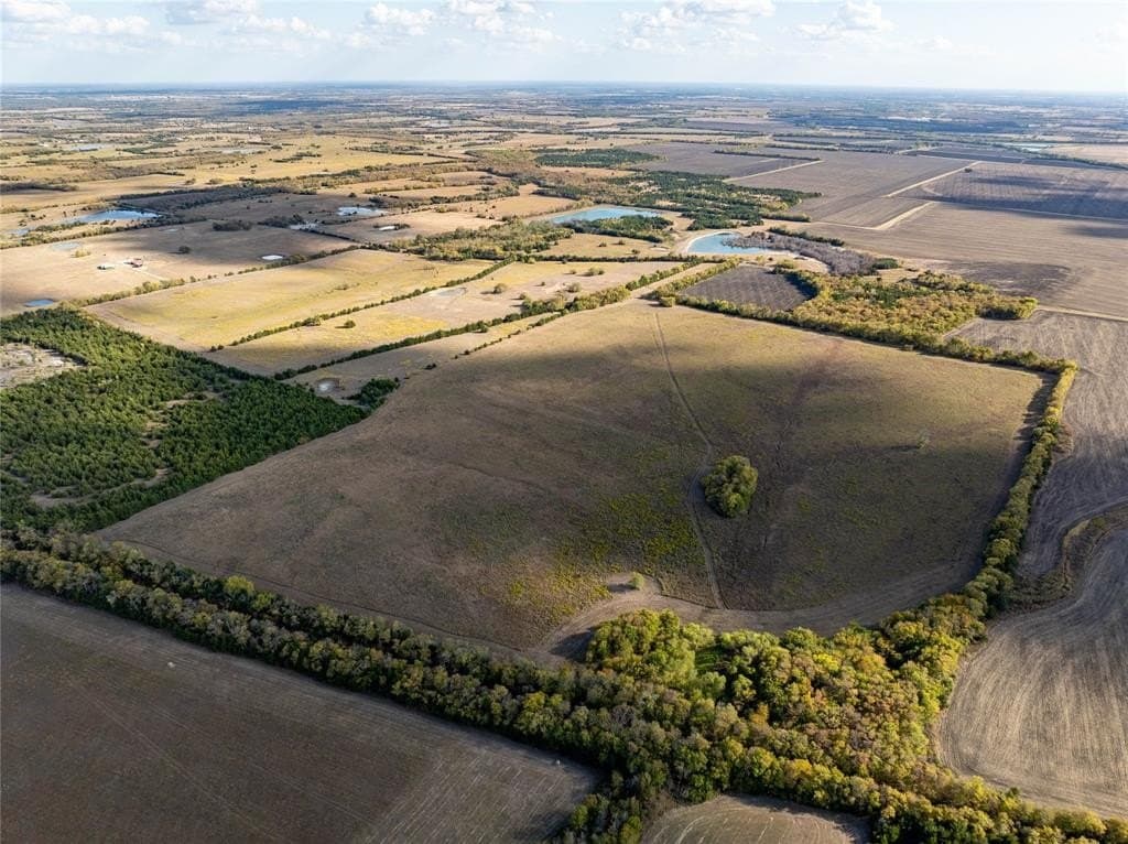 78 acres in Lamar County
