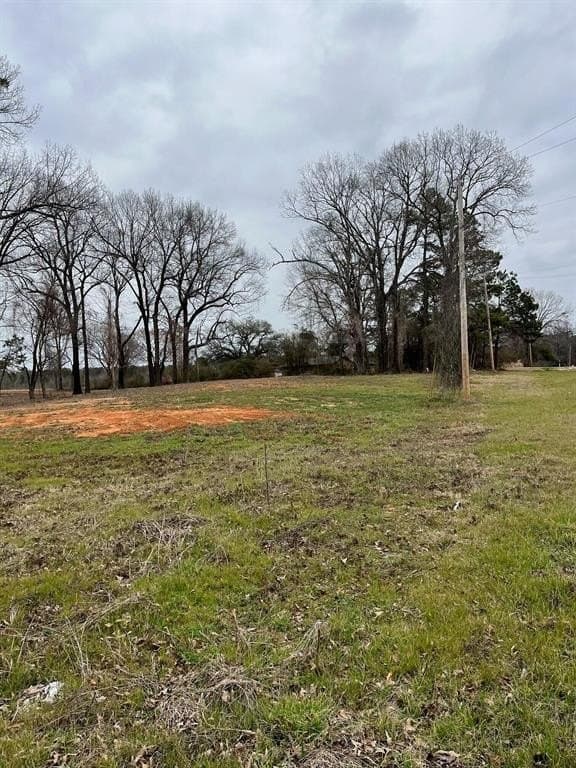 3.79 acres in Bowie County gallery image 2