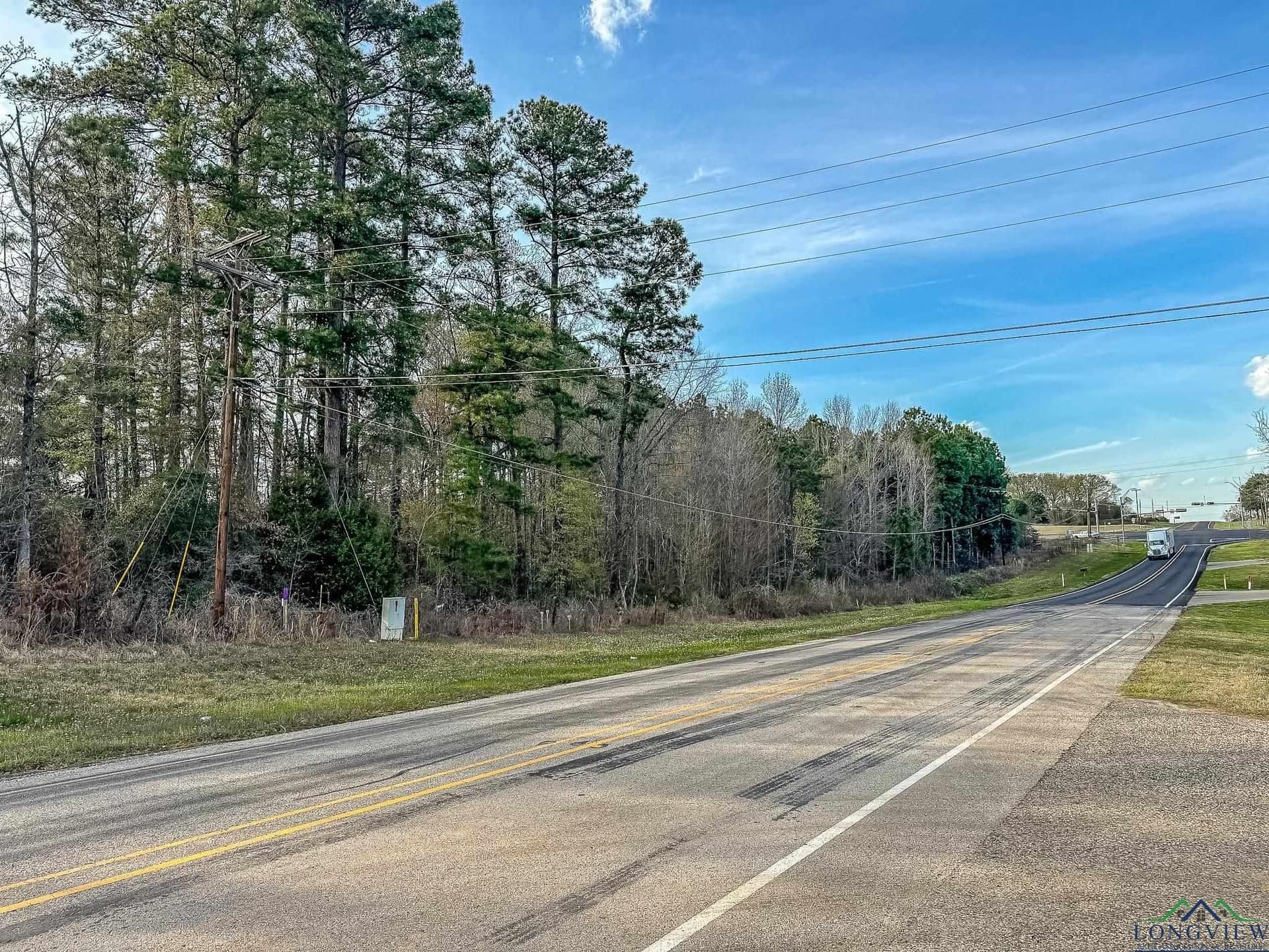 29 acres in Gregg County gallery image 2