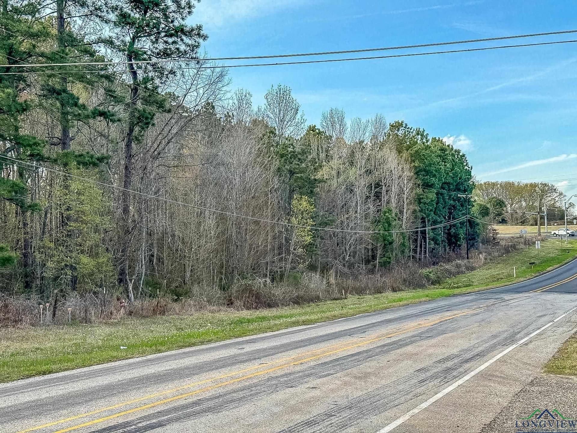 29 acres in Gregg County gallery image 3