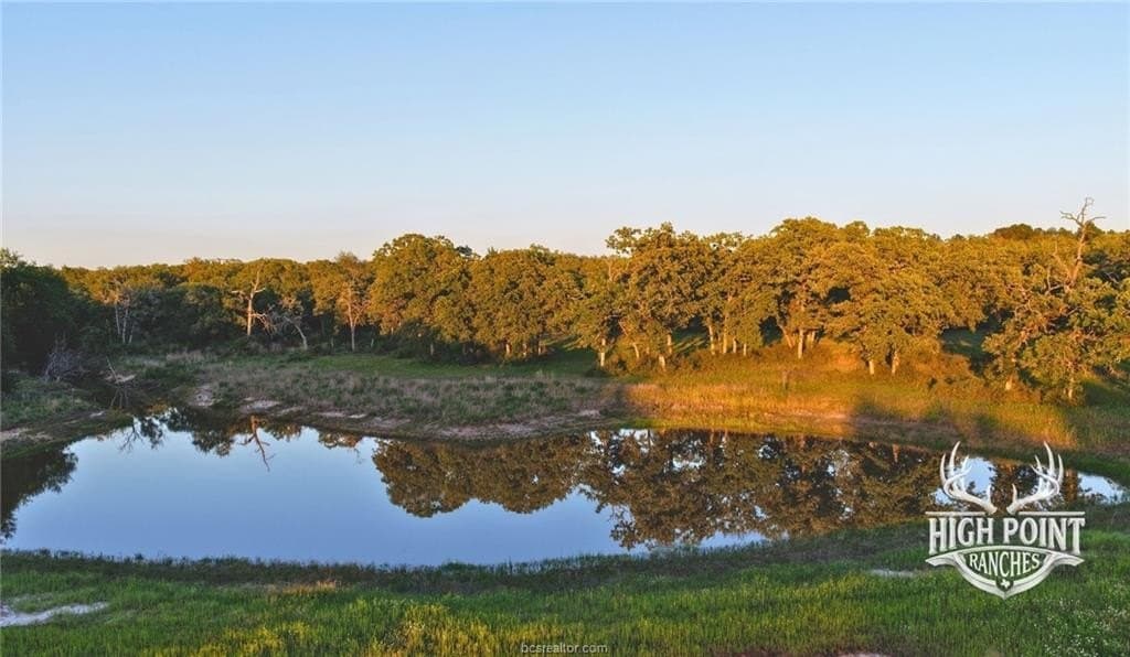 245 acres in Lee County - photo 15