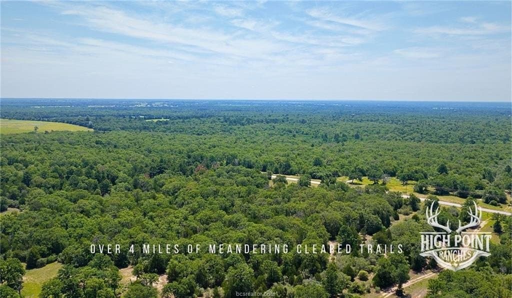 245 acres in Lee County - photo 12