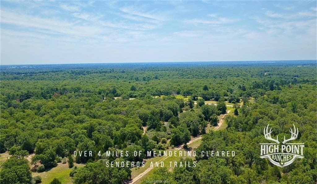 245 acres in Lee County - photo 11