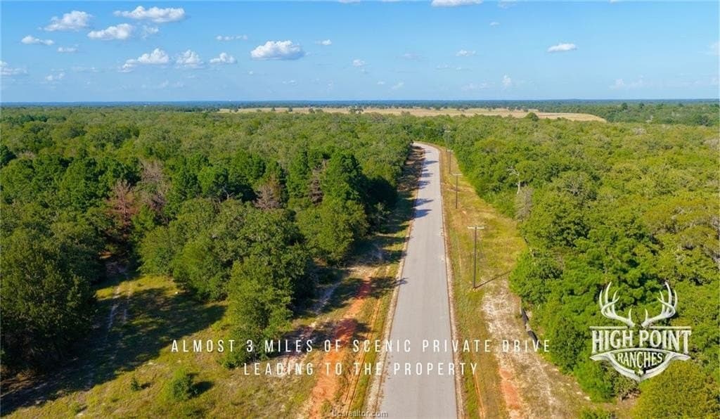 245 acres in Lee County - photo 8