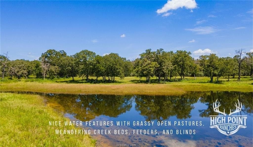 245 acres in Lee County - photo 3