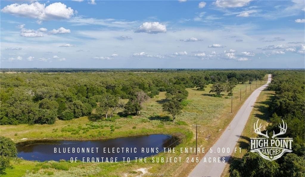 245 acres in Lee County - photo 6
