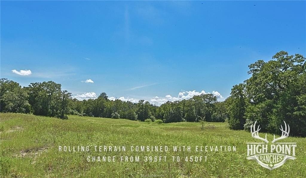 245 acres in Lee County - photo 14