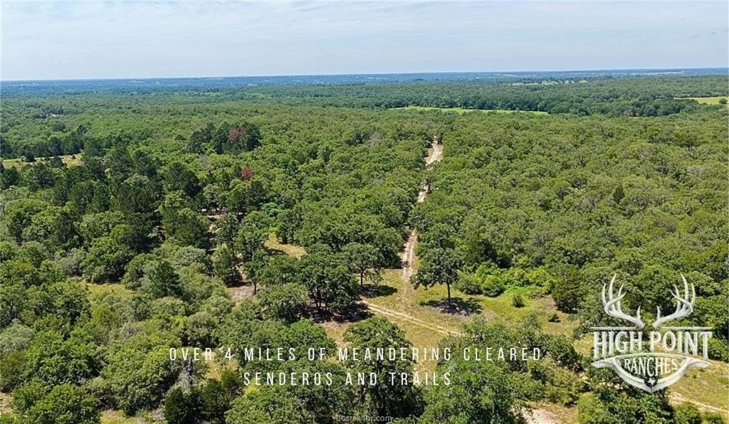 245 acres in Lee County - photo 9