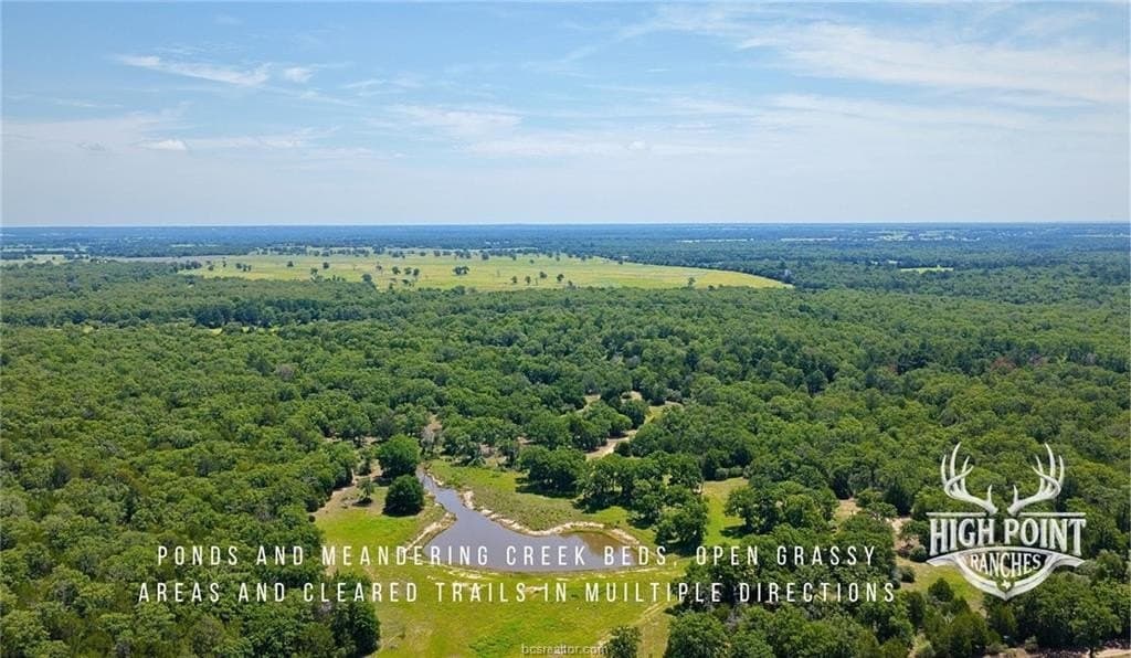 245 acres in Lee County - photo 13