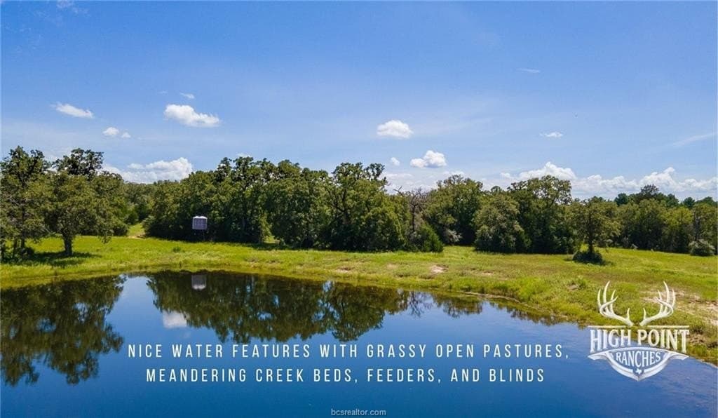 245 acres in Lee County - photo 4