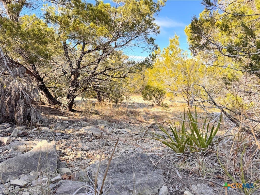 1.23 acres in Comal County - photo 12
