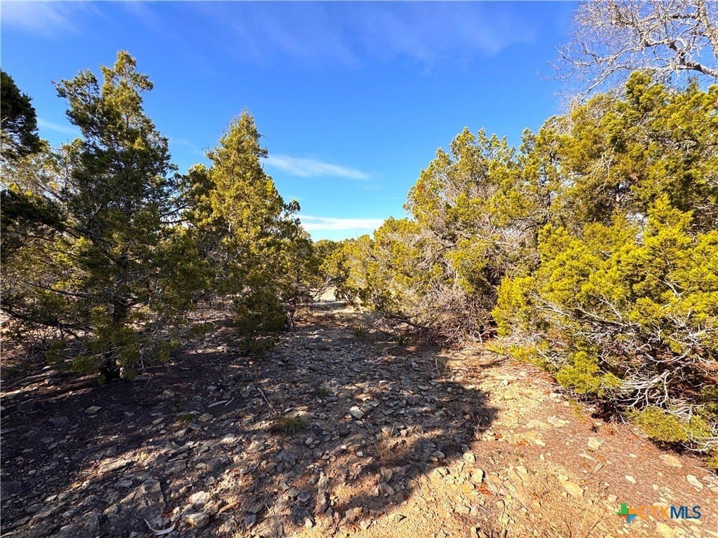 1.23 acres in Comal County - photo 10