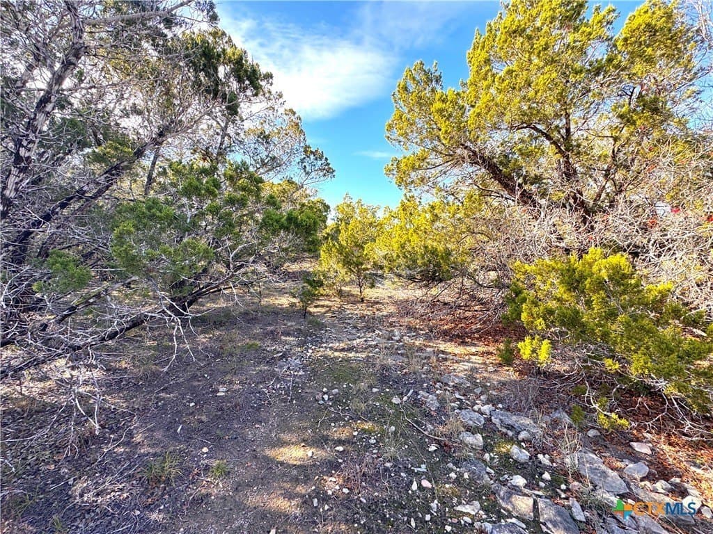 1.23 acres in Comal County - photo 7