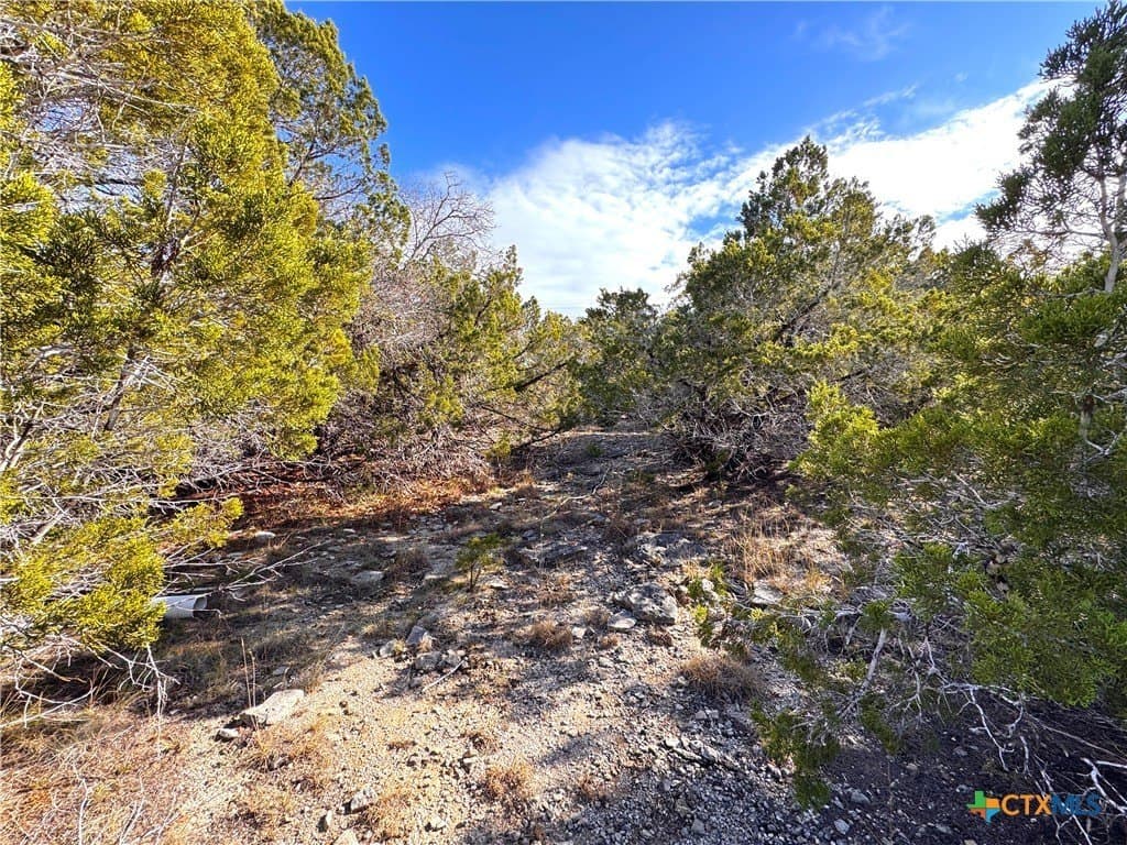 1.23 acres in Comal County - photo 11