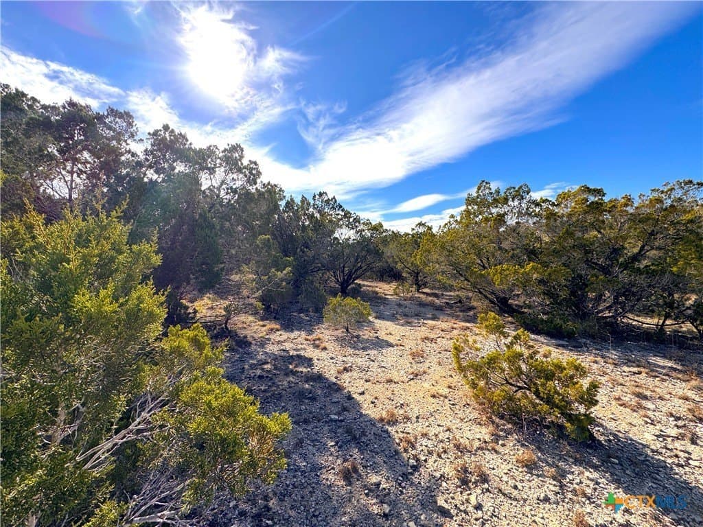 1.23 acres in Comal County - photo 17