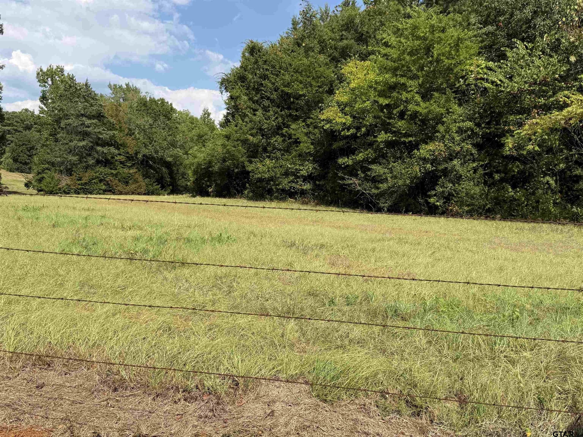 11.04 acres in Cherokee County - photo 4