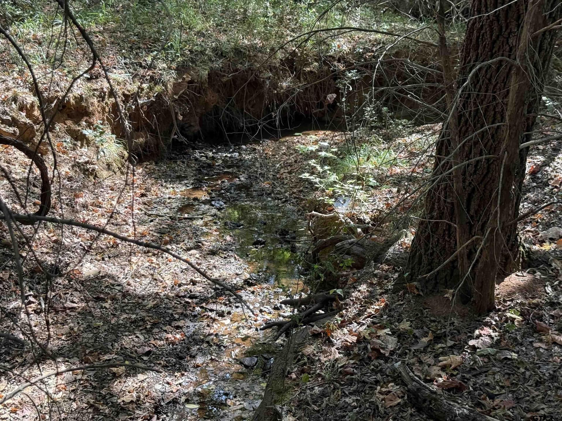 11.04 acres in Cherokee County - photo 13