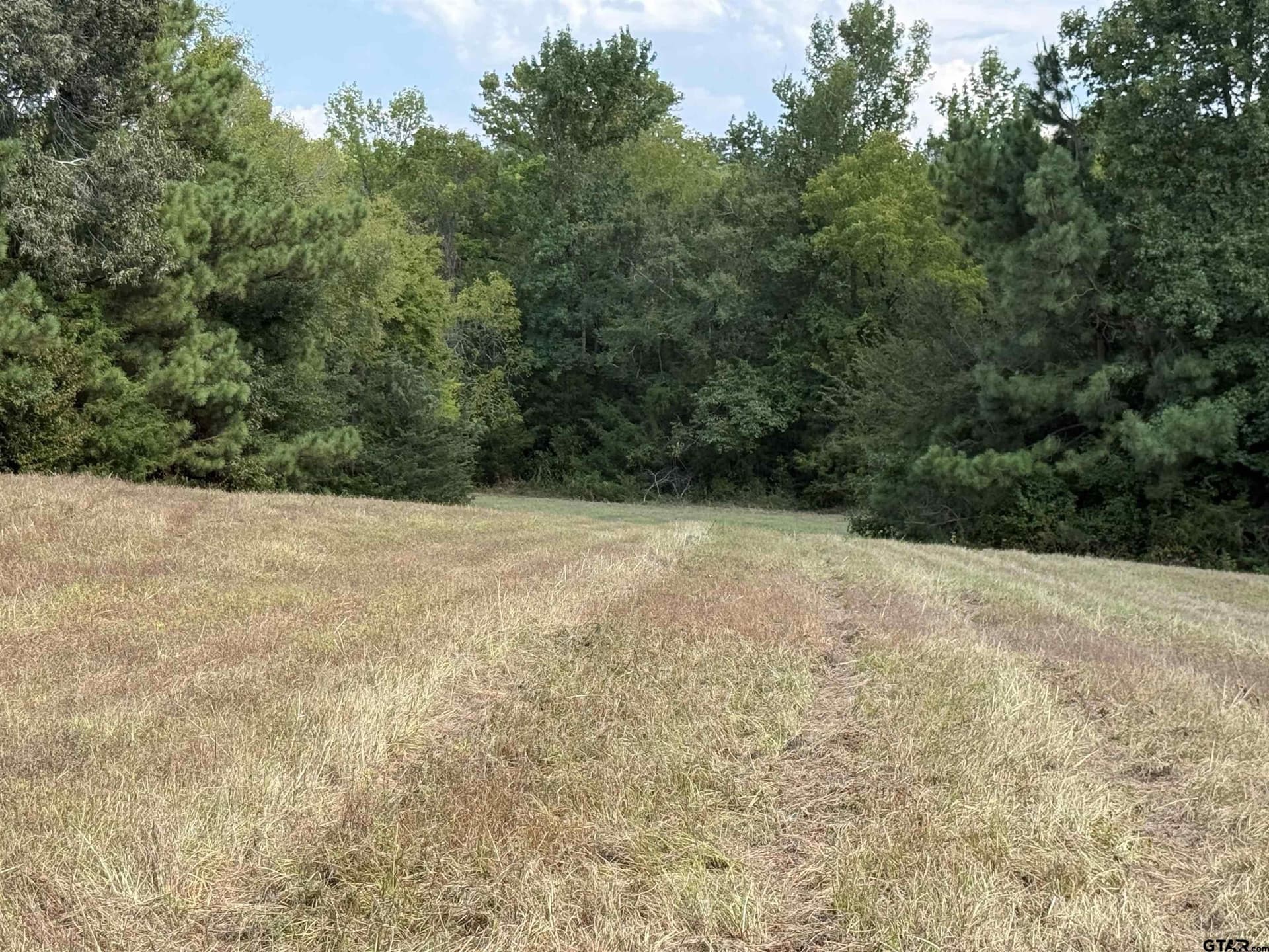 11.04 acres in Cherokee County - photo 18