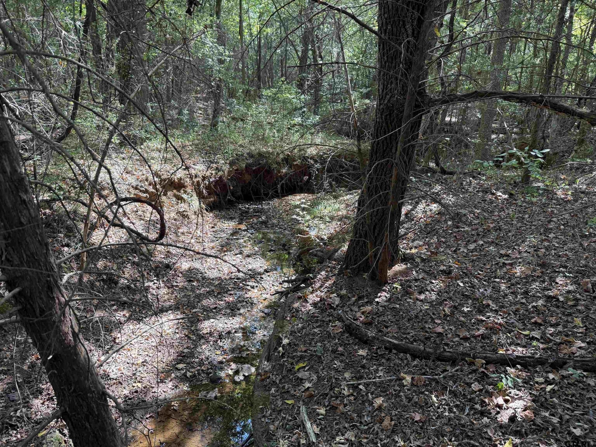 11.04 acres in Cherokee County - photo 14