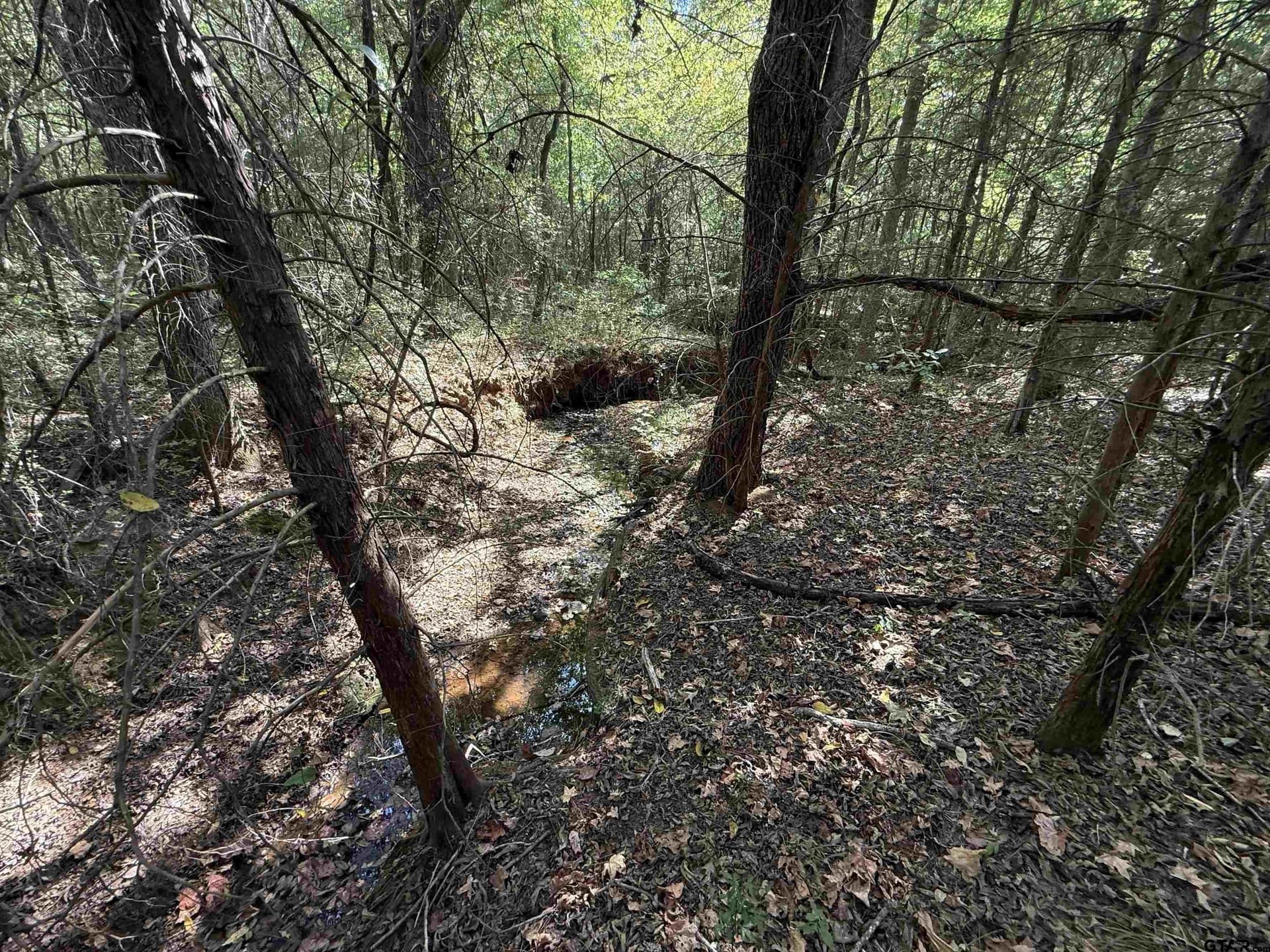 11.04 acres in Cherokee County - photo 12