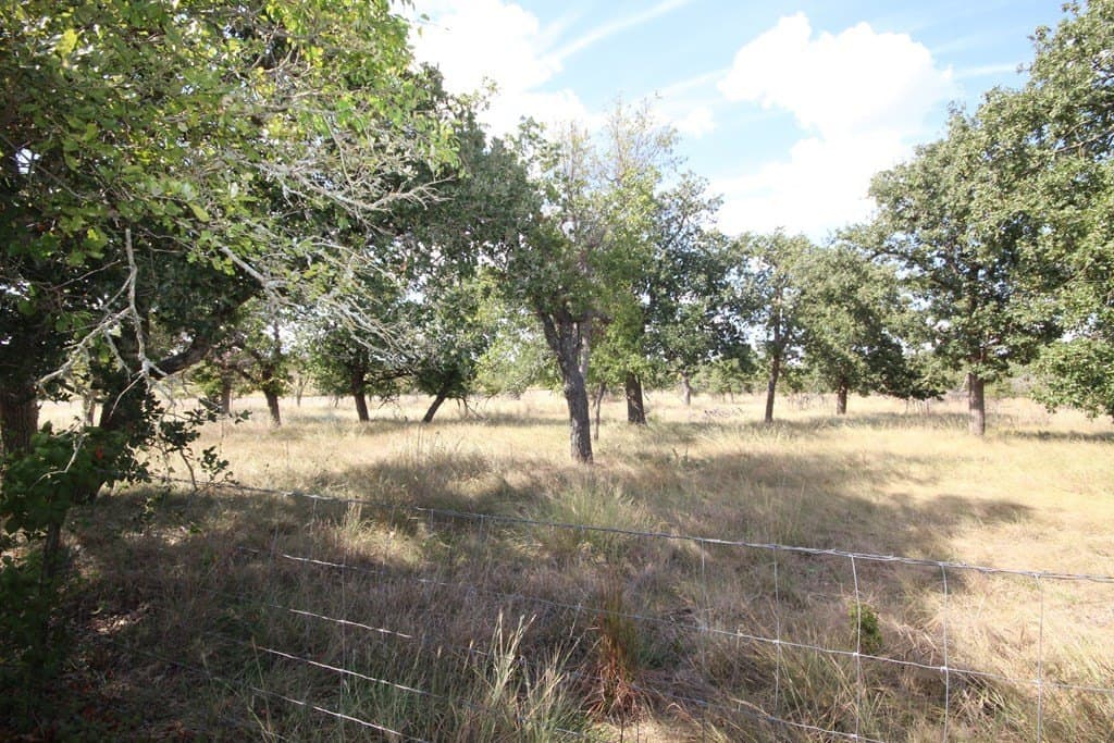 10 acres in Gillespie County featured view