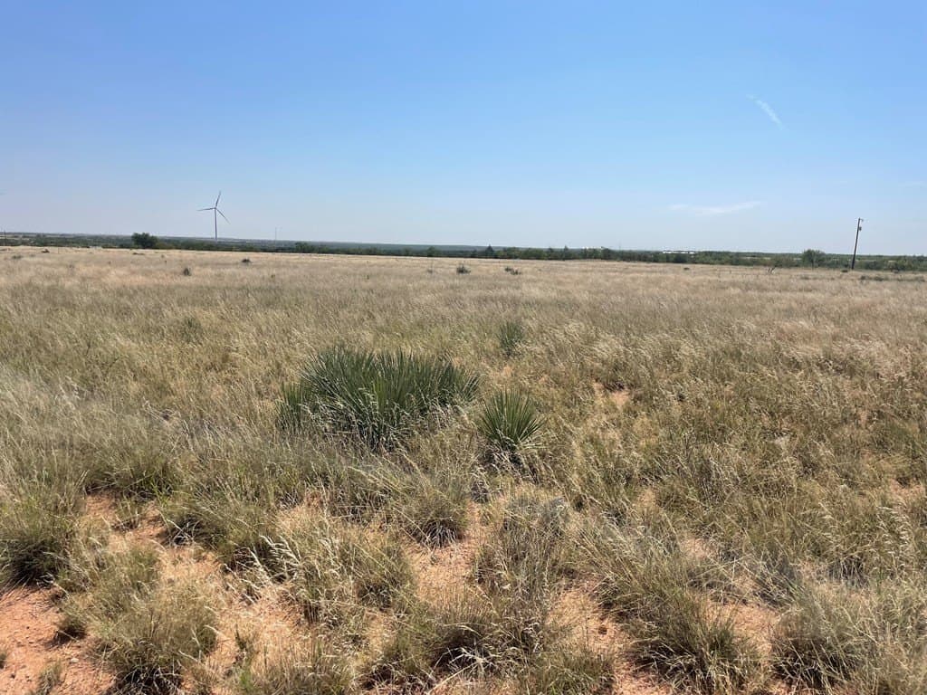 69.72 acres in Scurry County featured view