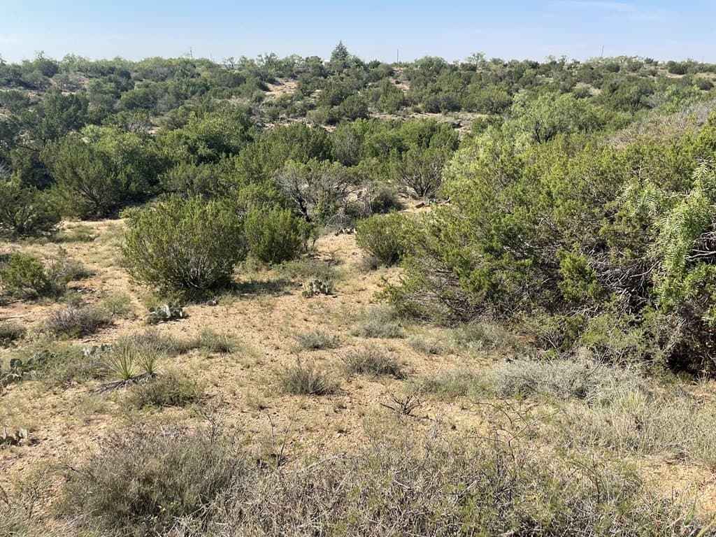 69.72 acres in Scurry County gallery image 3