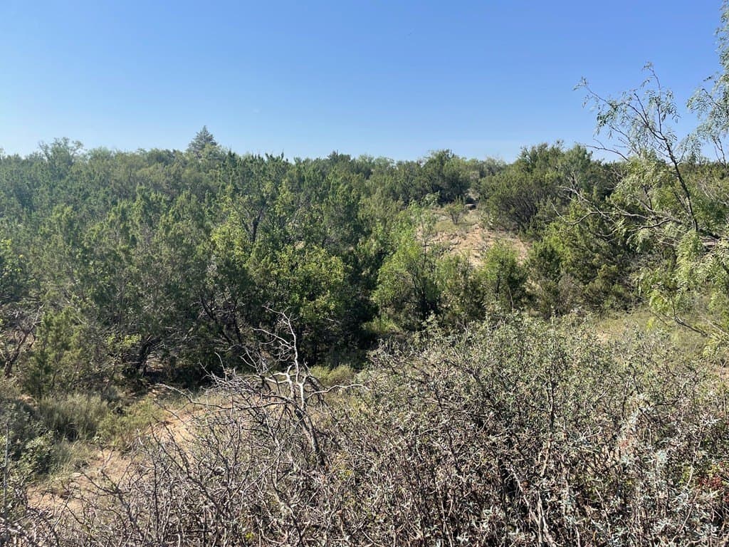 69.72 acres in Scurry County gallery image 2