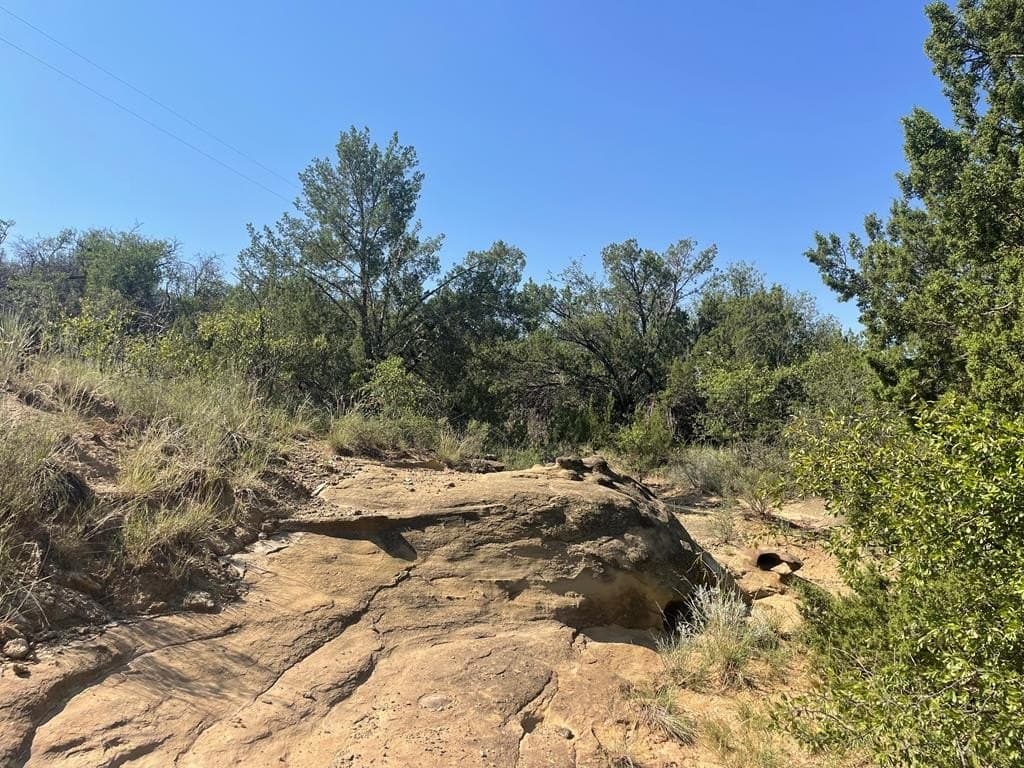 69.72 acres in Scurry County