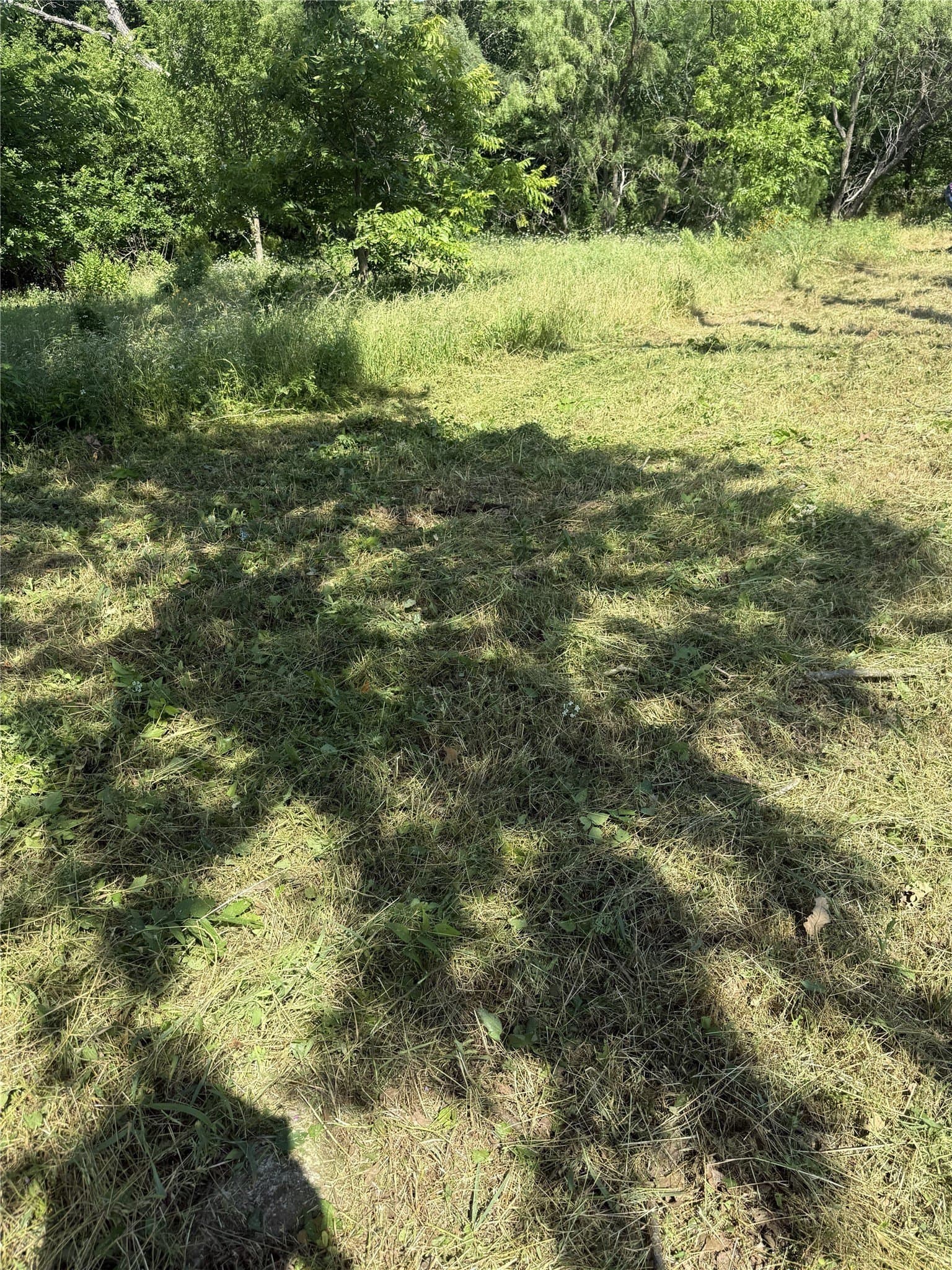 0.77 acres in Johnson County - photo 9