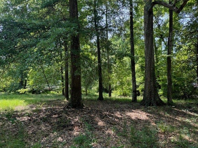 0.58 acres in Texas County - photo 5