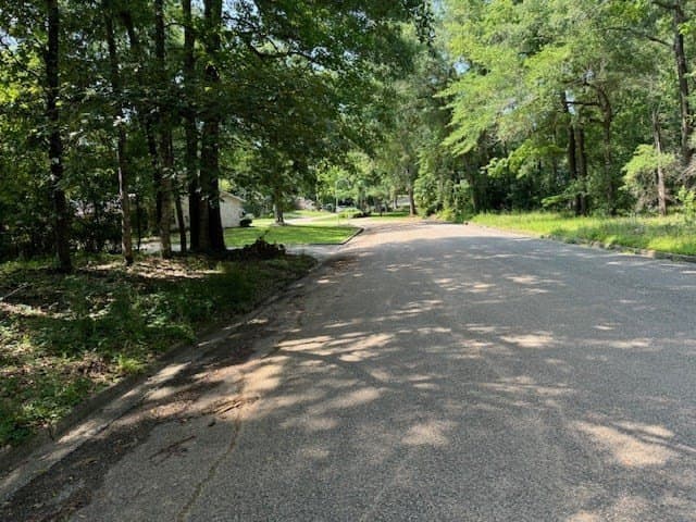 0.58 acres in Texas County - photo 6