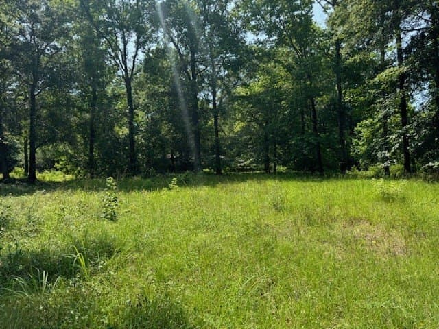 0.58 acres in Texas County - photo 4